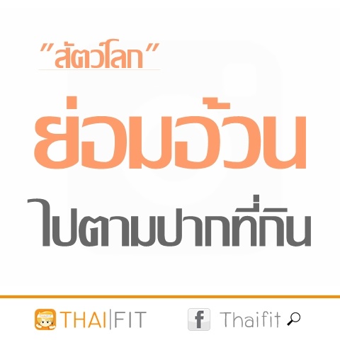 thaifit-คำคมคนอ้วนฮา-ๆ แค่ปชั่นคนอ้วน